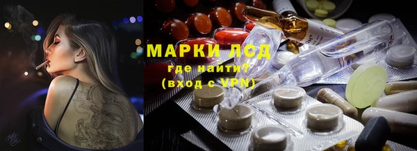 прущие грибы Нефтегорск