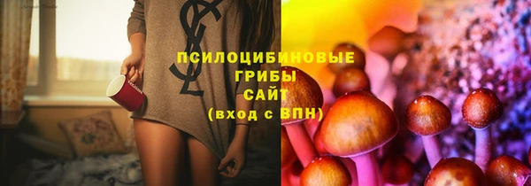 спиды Нея