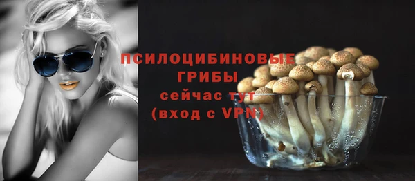 дурь Нягань
