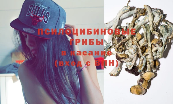 спиды Нея