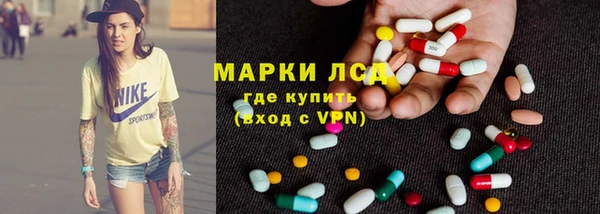 прущие грибы Нефтегорск