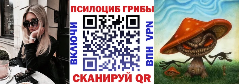 продажа наркотиков  Тайшет  Псилоцибиновые грибы ЛСД 