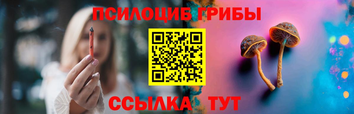 Тайшет  Псилоцибиновые грибы мухоморы  Вход с VPN 